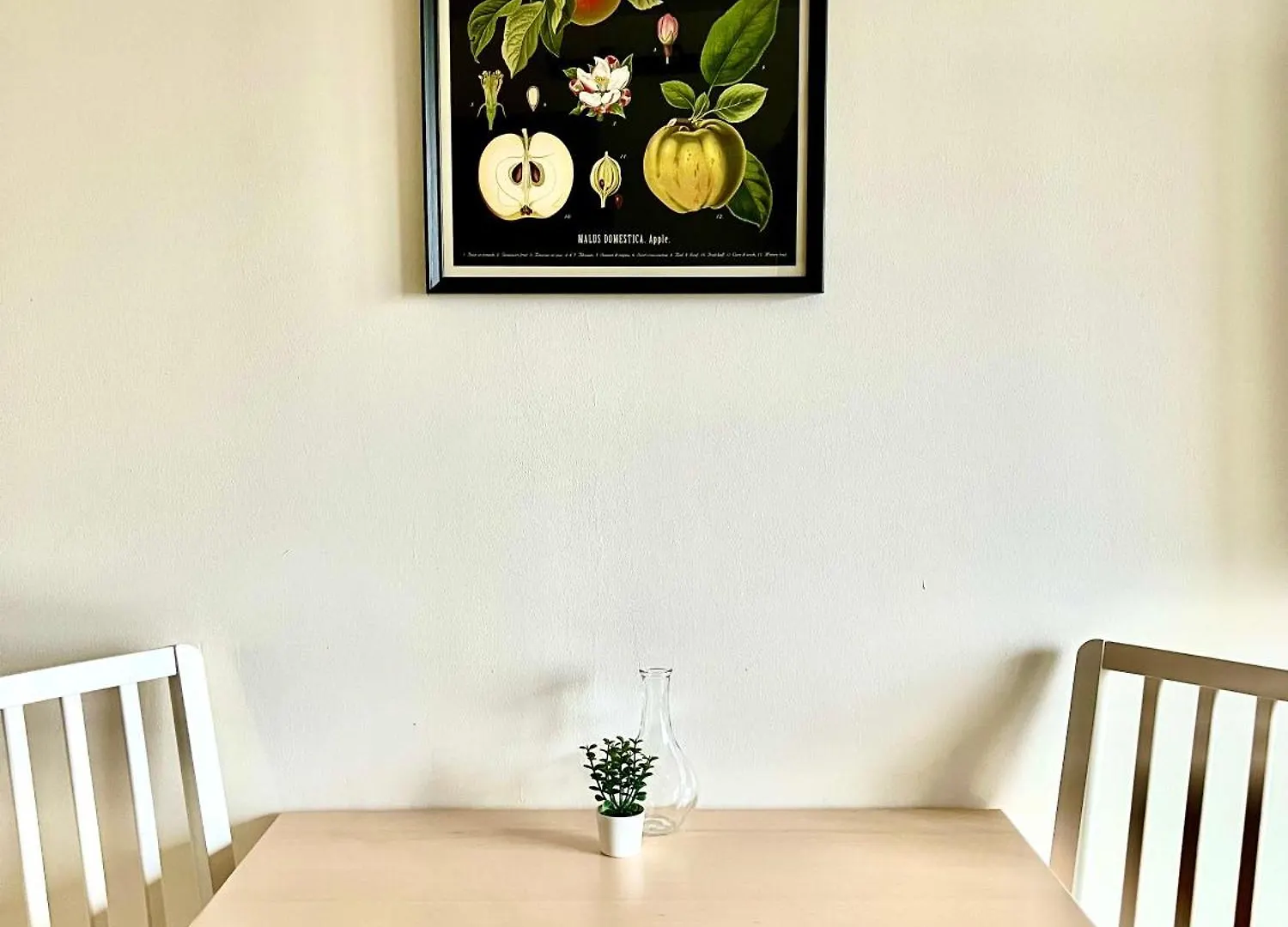 Logement Renove Proche Centre-Ville Lyon Villeurbanne