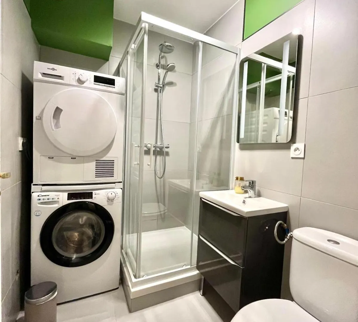 Logement Renove Proche Centre-Ville Lyon Villeurbanne France